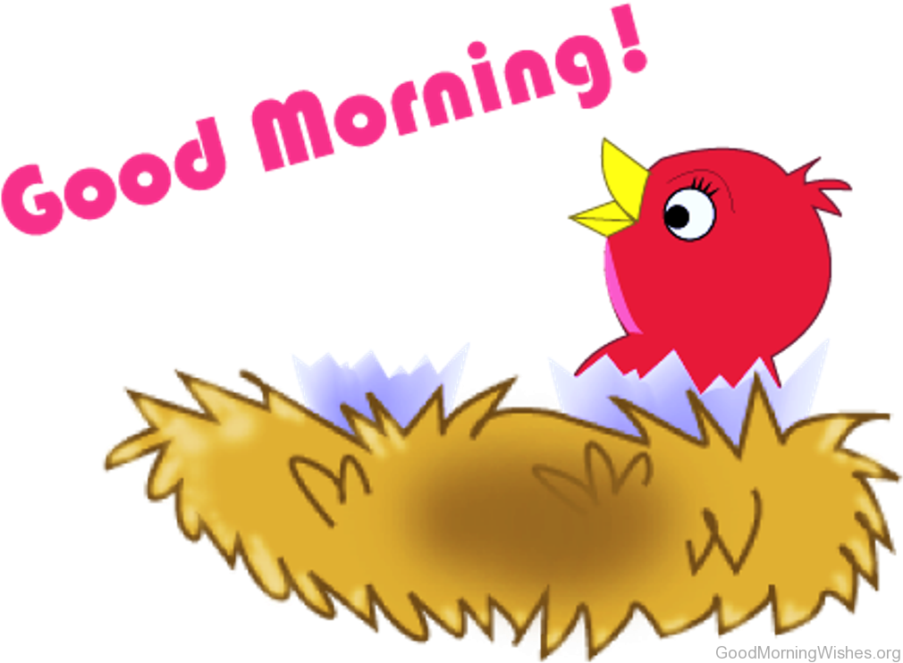 Good Morning Chick Greeting PNG Image