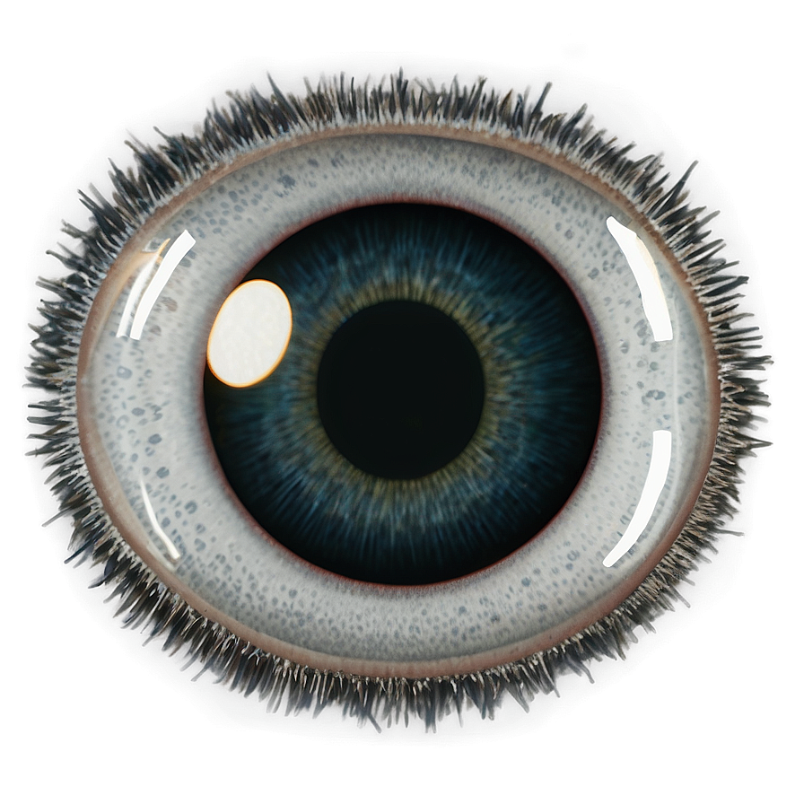 Googly Eyes Transparent Png Hce69 PNG Image