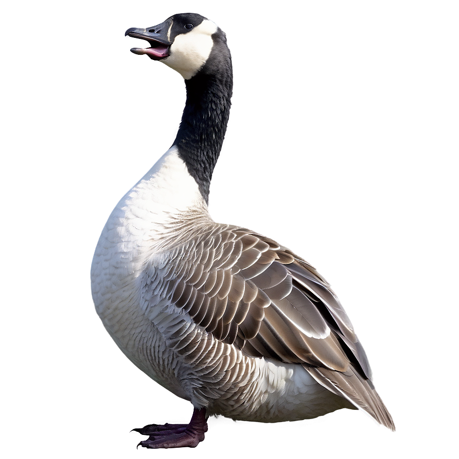 Goose Beak Open Png 43 PNG Image