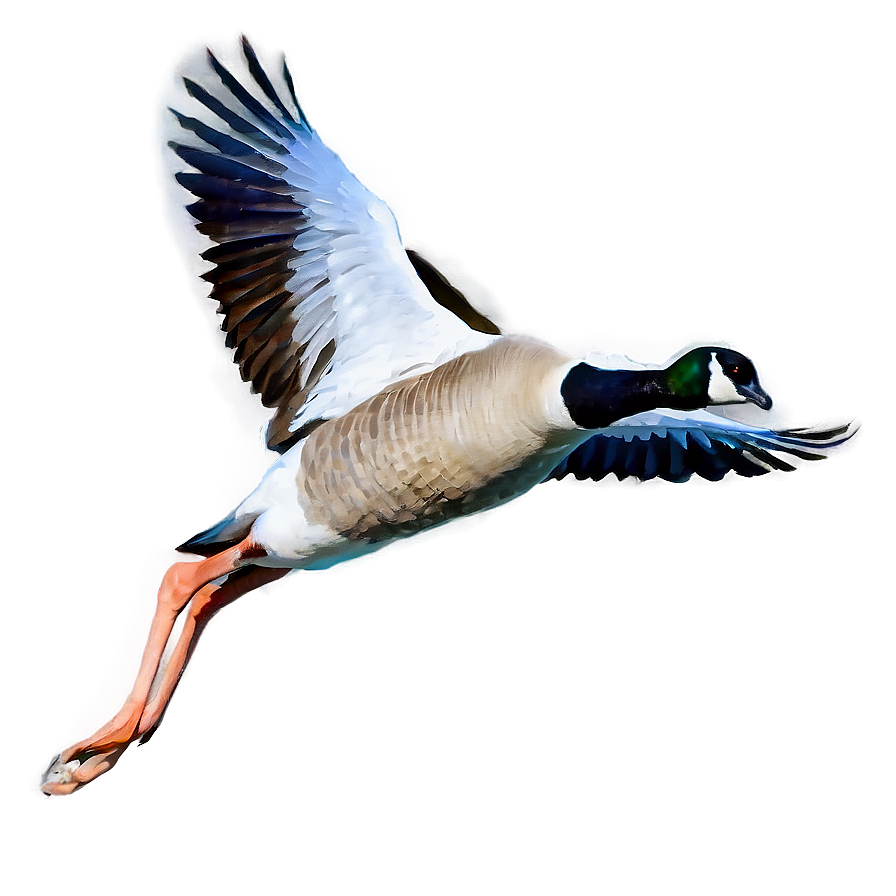 Goose Taking Off Flight Png 06112024 PNG Image