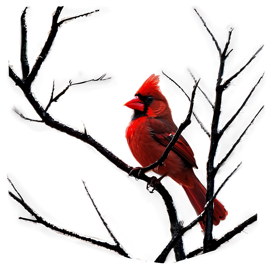 Gothic Cardinal Image Png 94 PNG Image