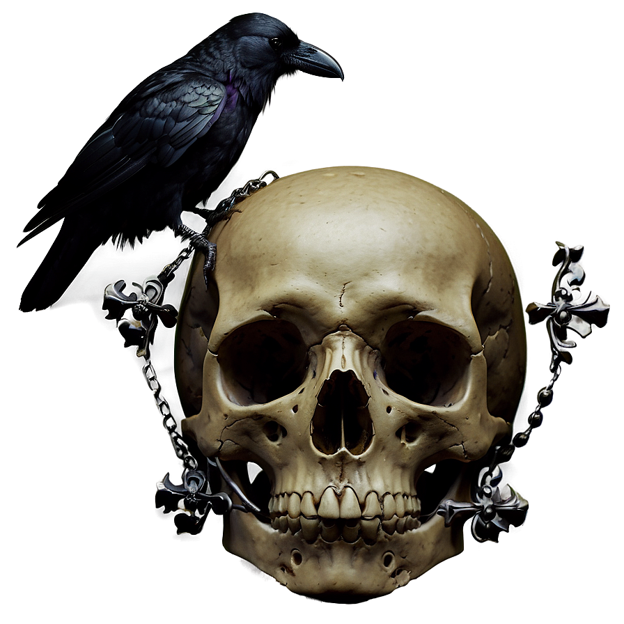 Gothic Raven And Skull Png Axo66 PNG Image