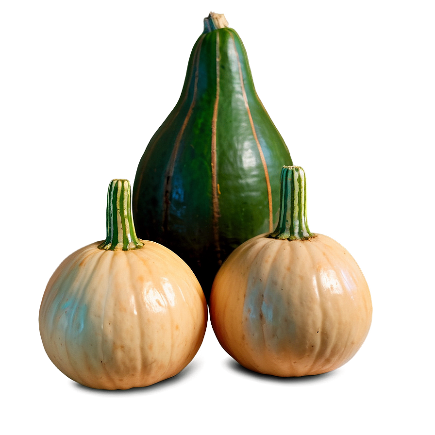 Gourd Arrangement Png 06292024 PNG Image