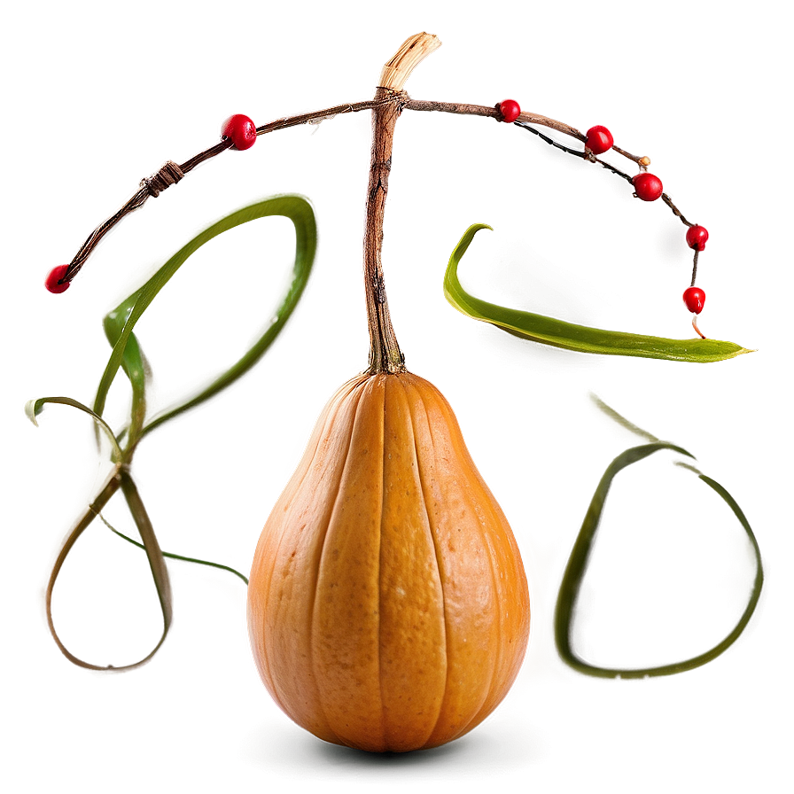 Gourd Display Png Tdc51 PNG Image