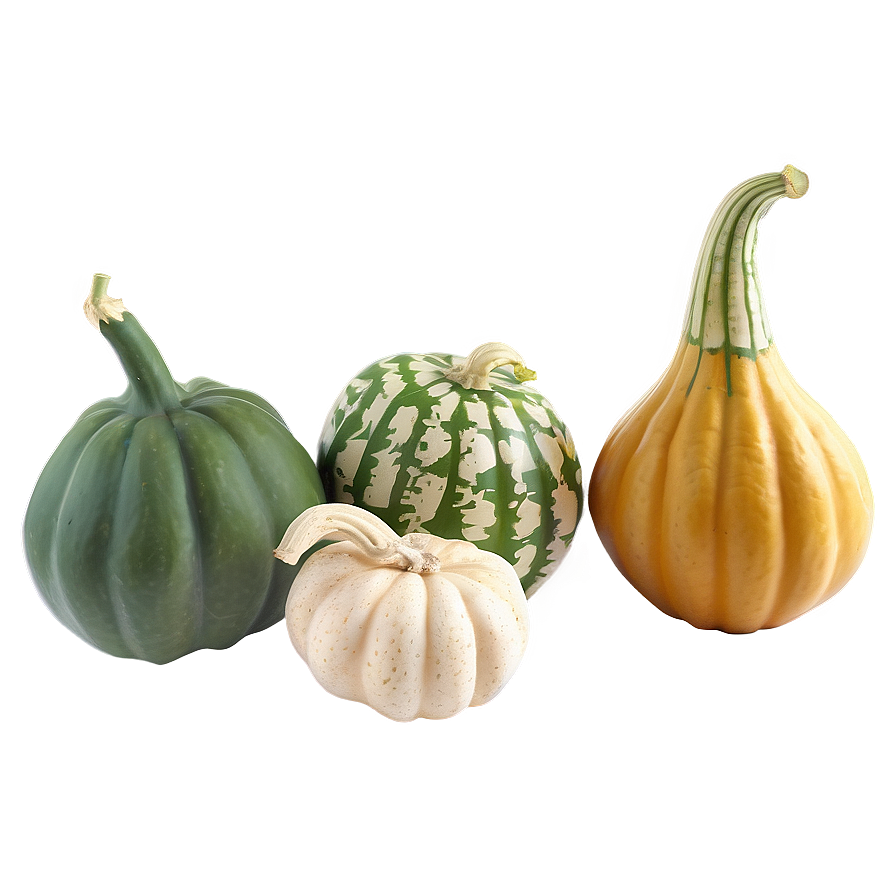 Gourd Garden Png Cjp33 PNG Image