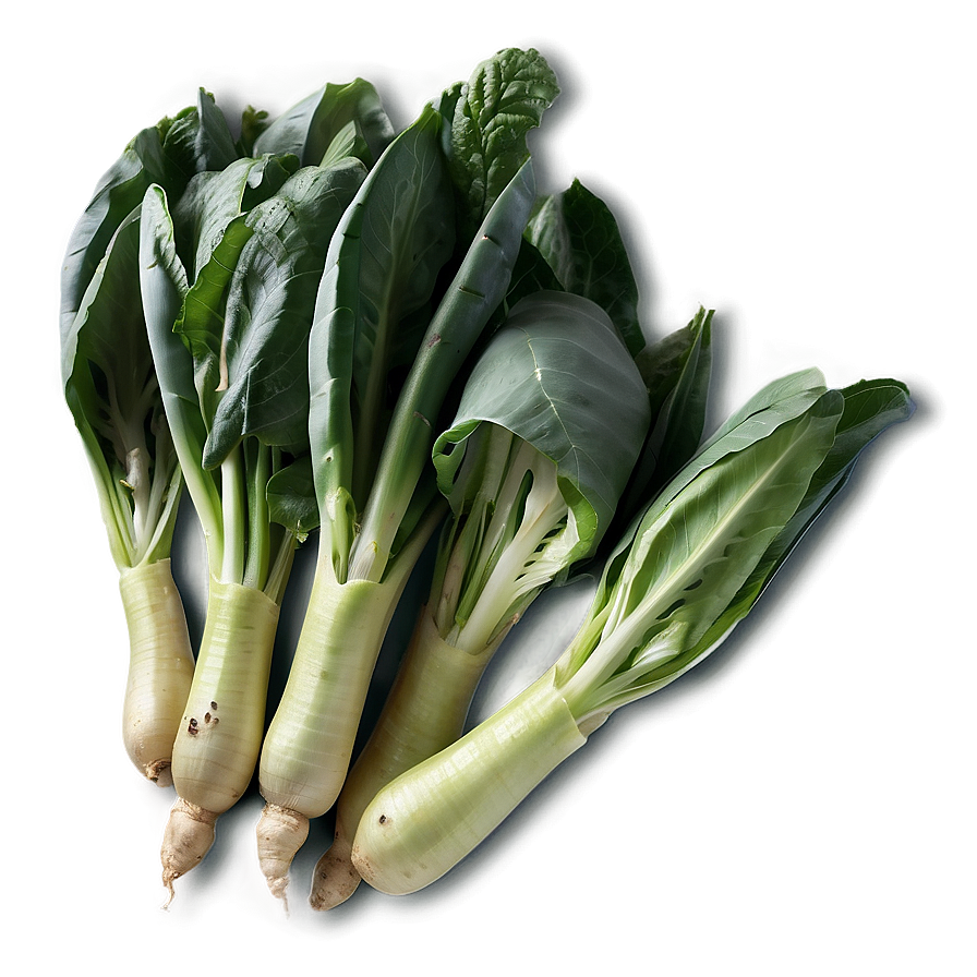 Gourmet Vegetables Png Cwm93 PNG Image