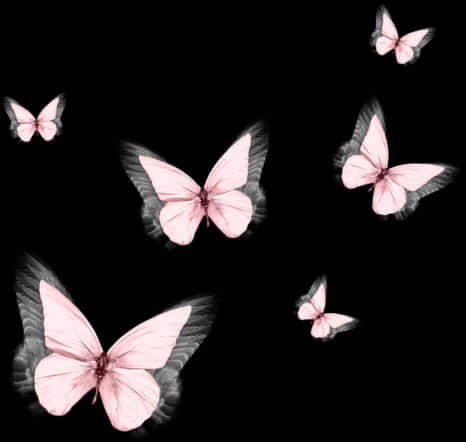 Graceful Pink Butterfly In Bloom PNG Image