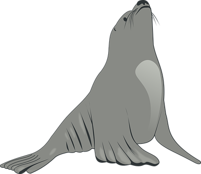 Graceful Seal Illustration PNG Image