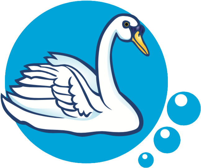 Graceful Swan Illustration PNG Image