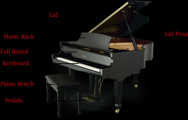 Grand Piano Parts Identification PNG Image