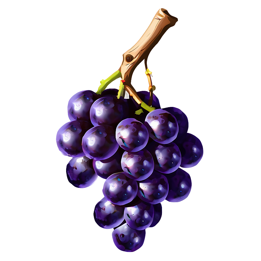 Grape Art Png Lls11 PNG Image