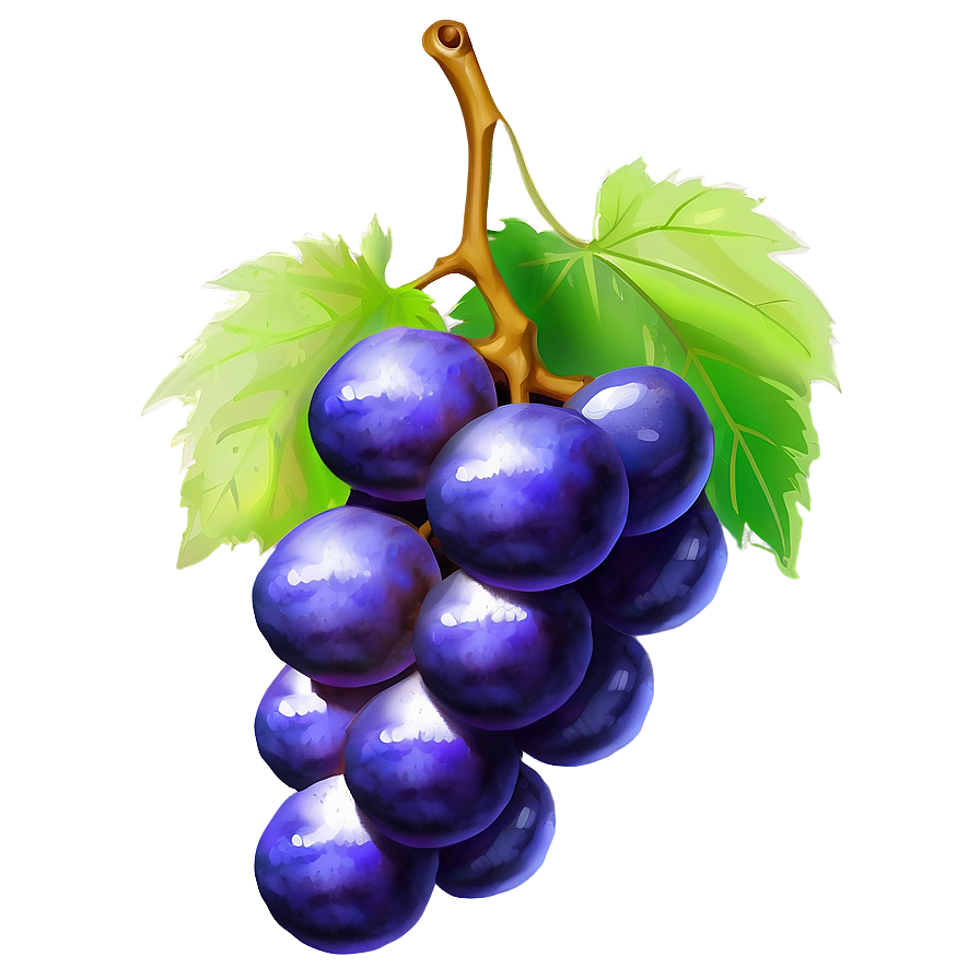 Grape Drawing Png 05212024 PNG Image