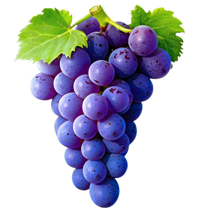 Grape Icon Png Gaq PNG Image