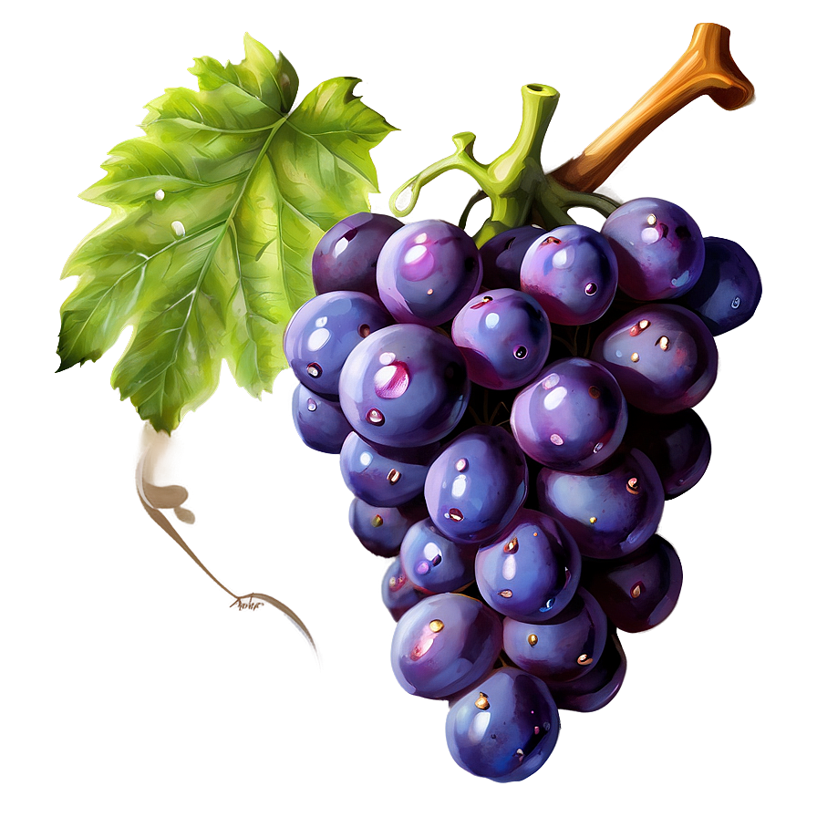 Grape Illustration Png 3 PNG Image