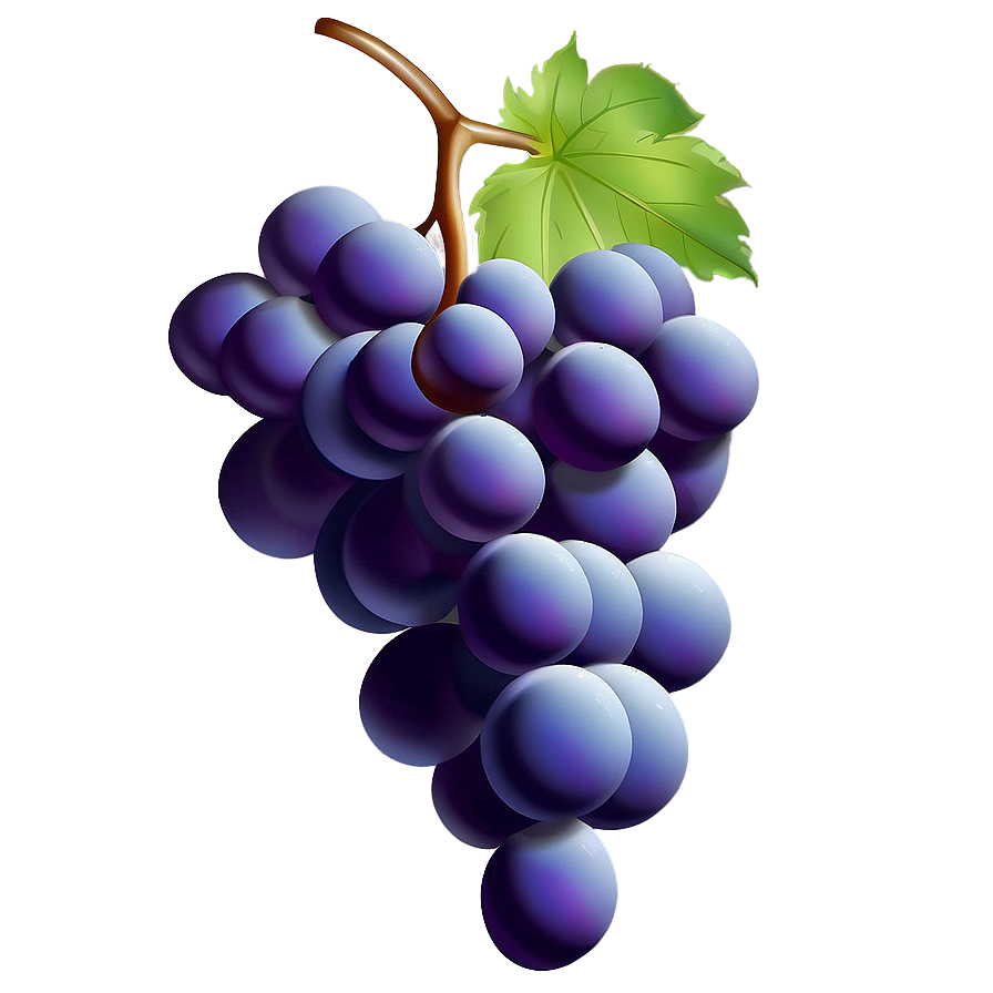 Grape Illustration Png 45 PNG Image