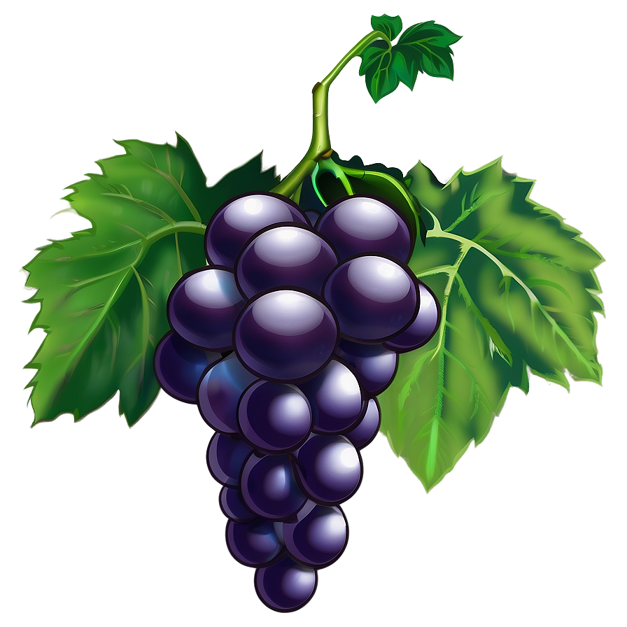 Grape Illustration Png Esi82 PNG Image