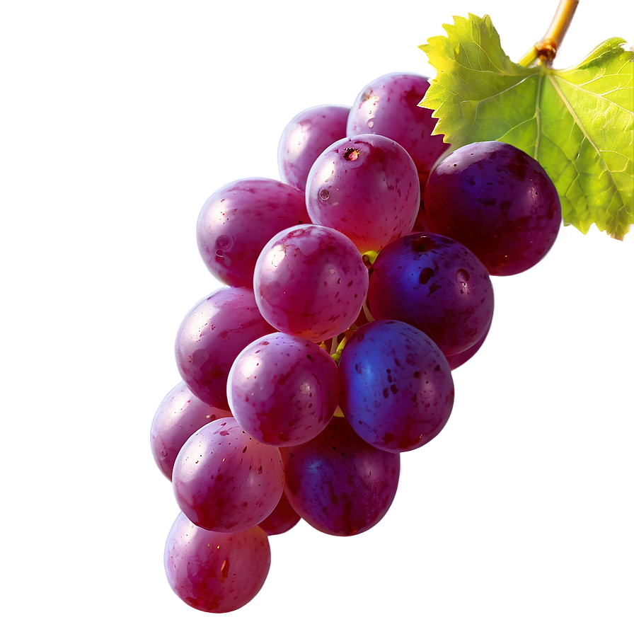 Grape In Sunlight Png 05212024 PNG Image