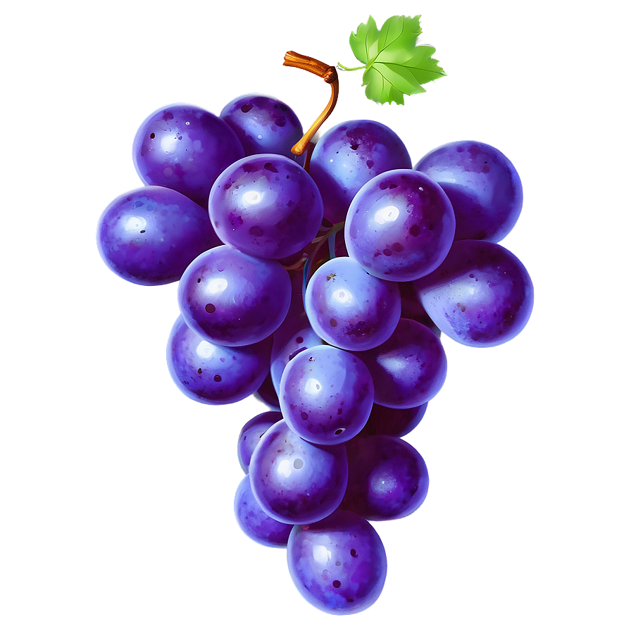 Grape Outline Png 05212024 PNG Image