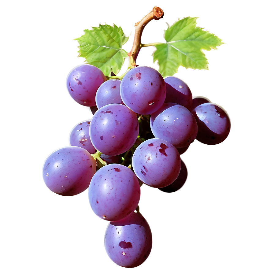 Grape Outline Png Ber PNG Image