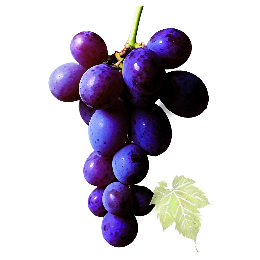 Grape Silhouette Png Wkg88 PNG Image