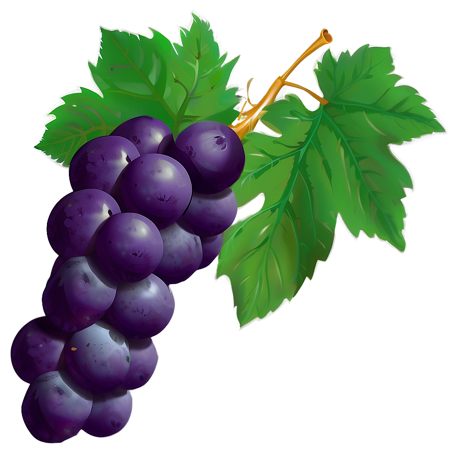 Grape Silhouette Png Wst PNG Image