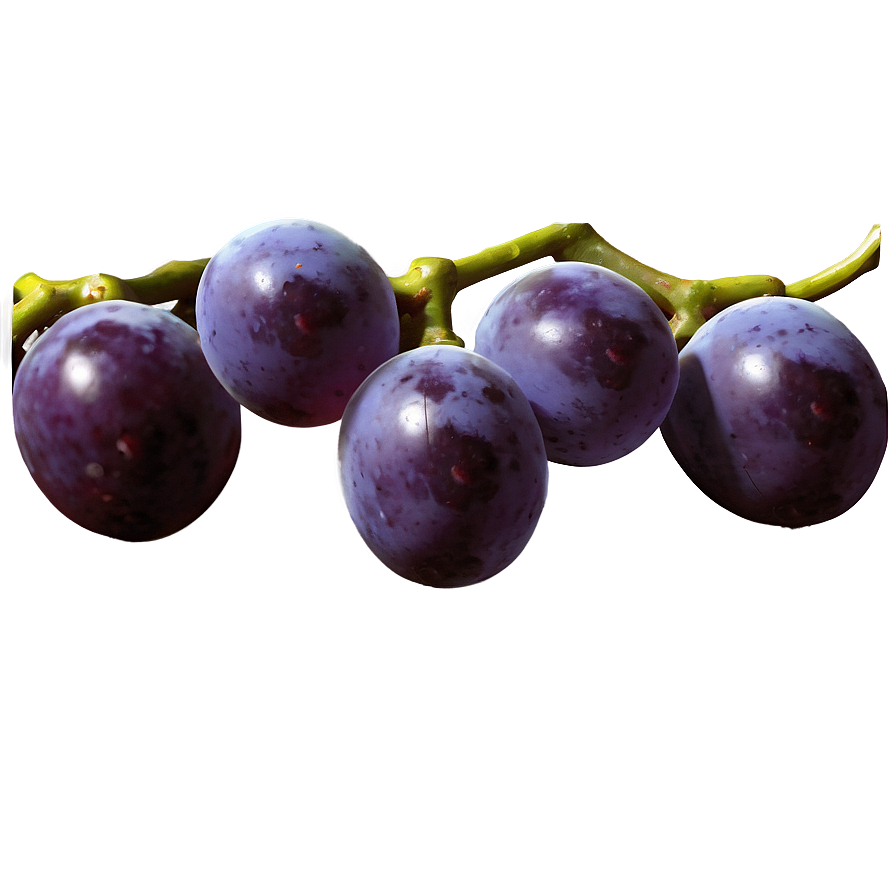 Grape Texture Png 05212024 PNG Image