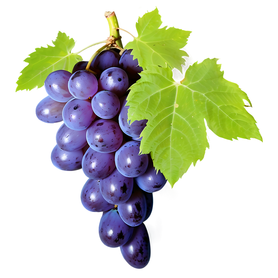 Grape Texture Png Hay58 PNG Image