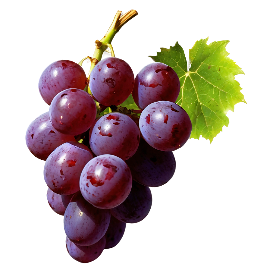 Grape Texture Png Mbt76 PNG Image