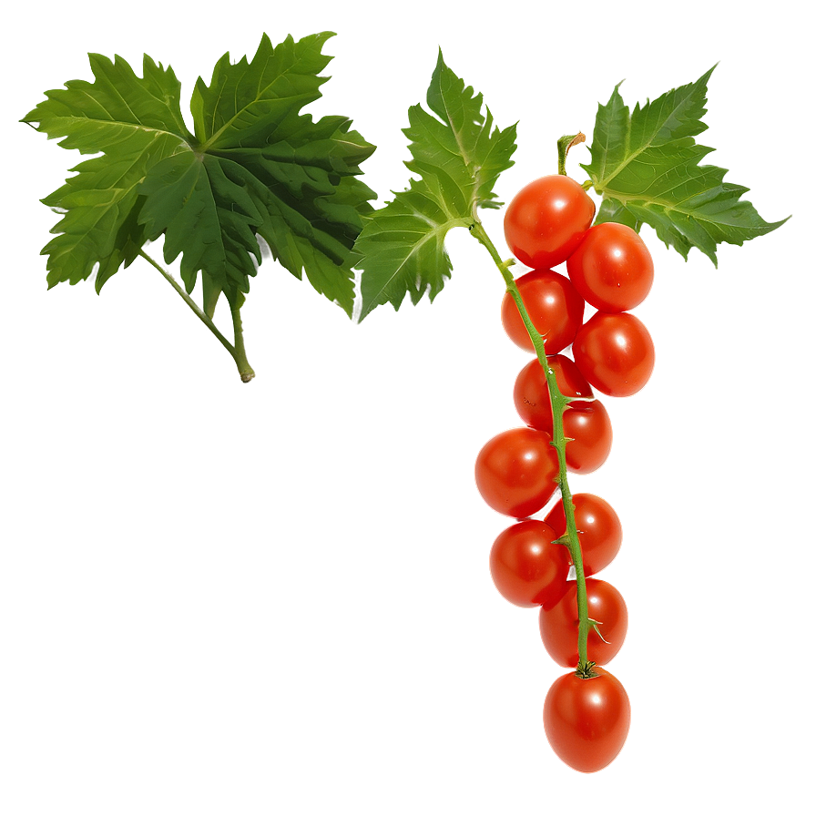 Grape Tomatoes Png Obg PNG Image