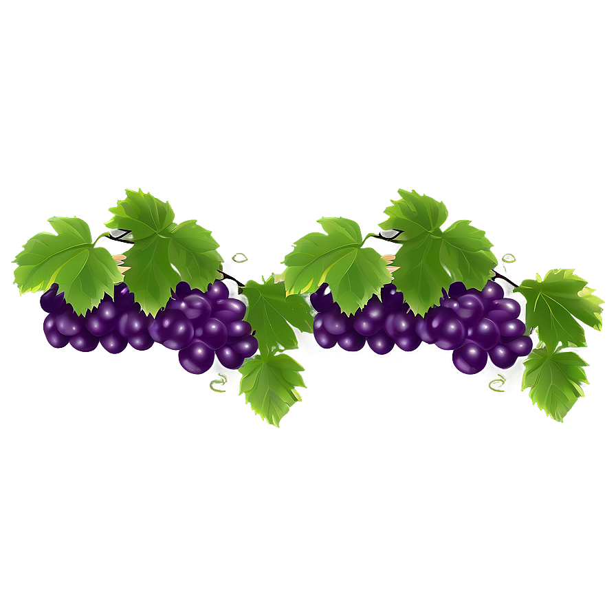 Grape Vine Png 43 PNG Image