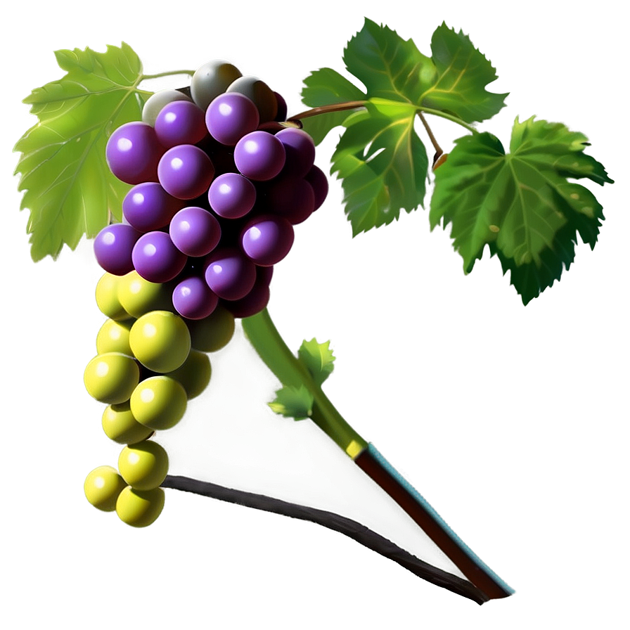 Grape Vine Png 89 PNG Image