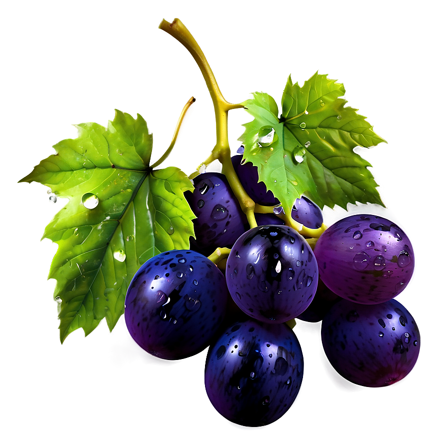 Grape With Dew Png 32 PNG Image