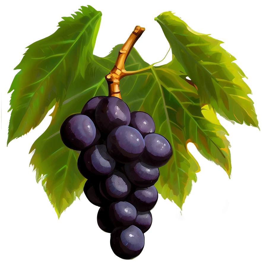 Grapes And Leaves Png Qky PNG Image