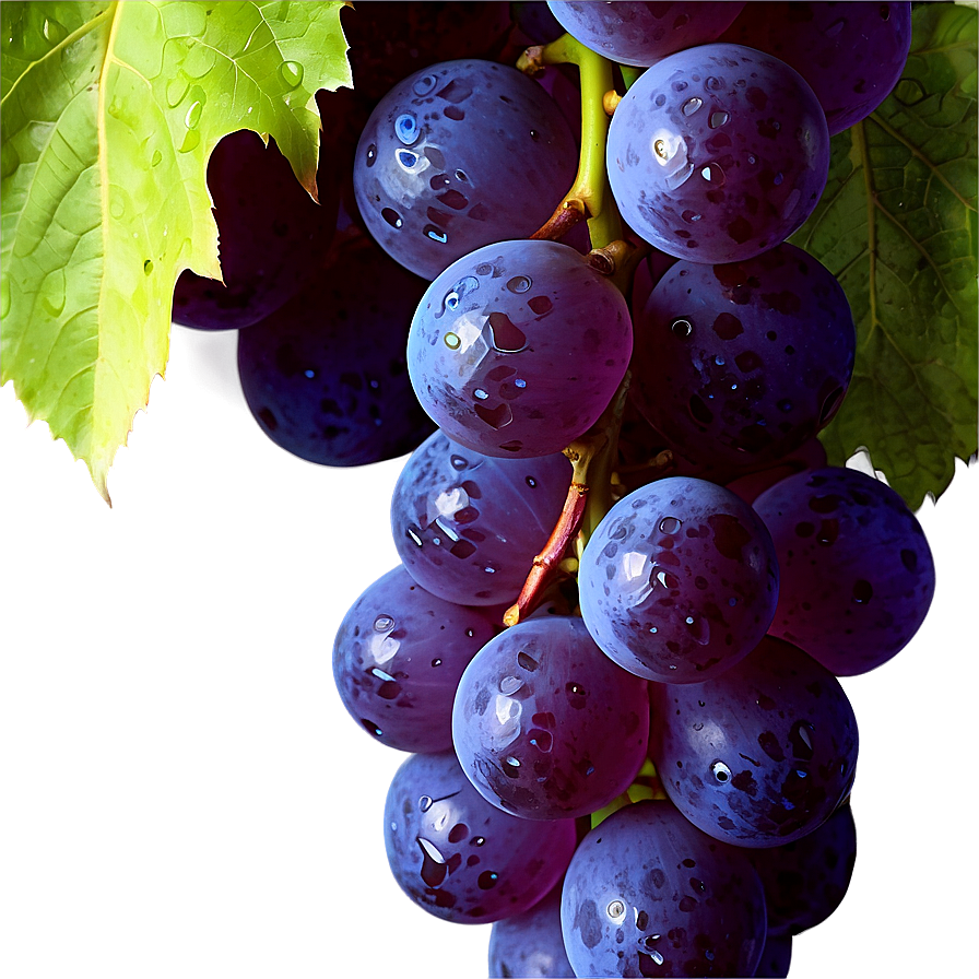 Grapes Background Png 05242024 PNG Image