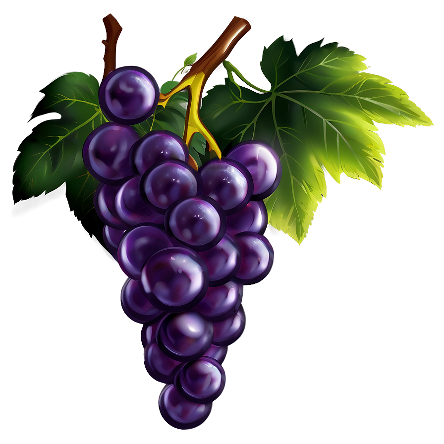 Grapes Illustration Png Dww PNG Image