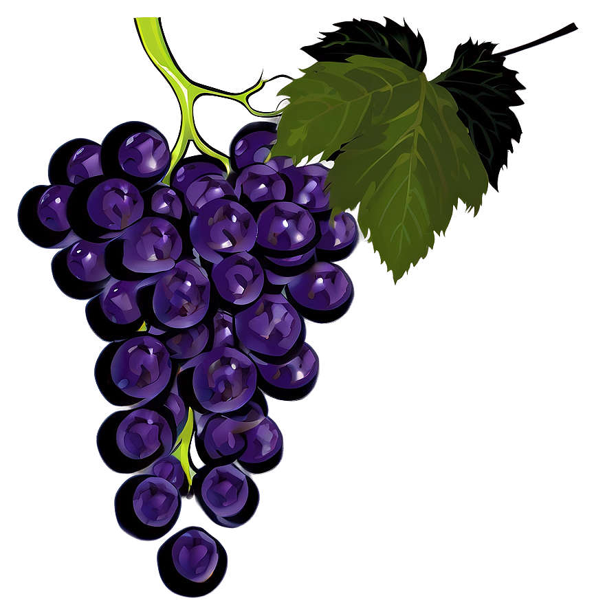 Grapes On Vine Png 7 PNG Image