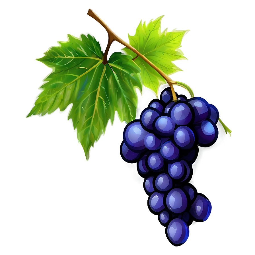 Grapes On Vine Png Hxi22 PNG Image