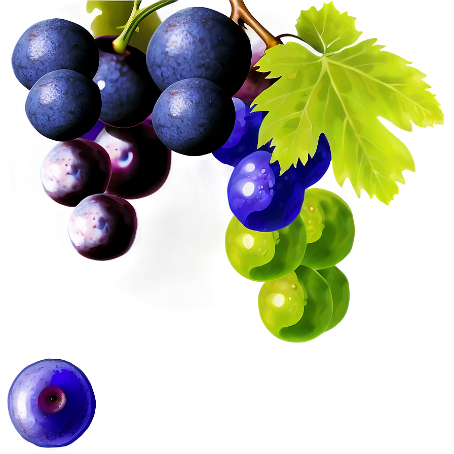 Grapes Silhouette Png Qhp58 PNG Image