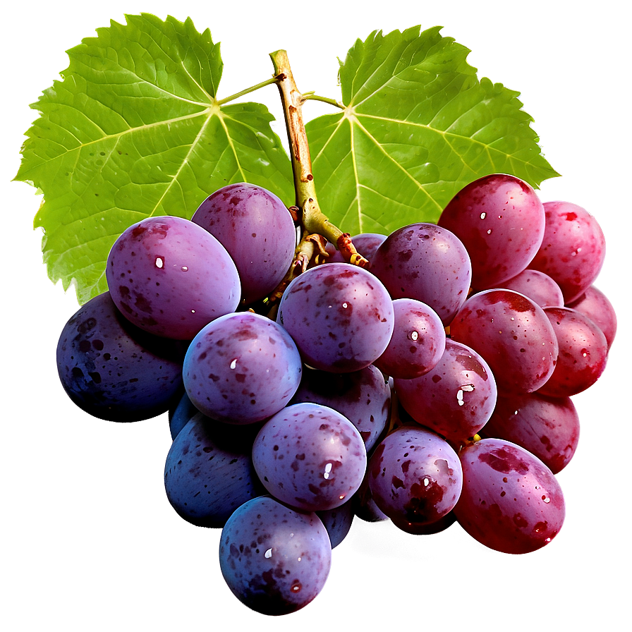 Grapes With Leaves Png 37 PNG Image