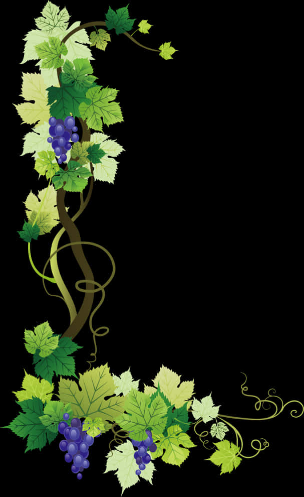 Grapevine Illustration Vertical PNG Image