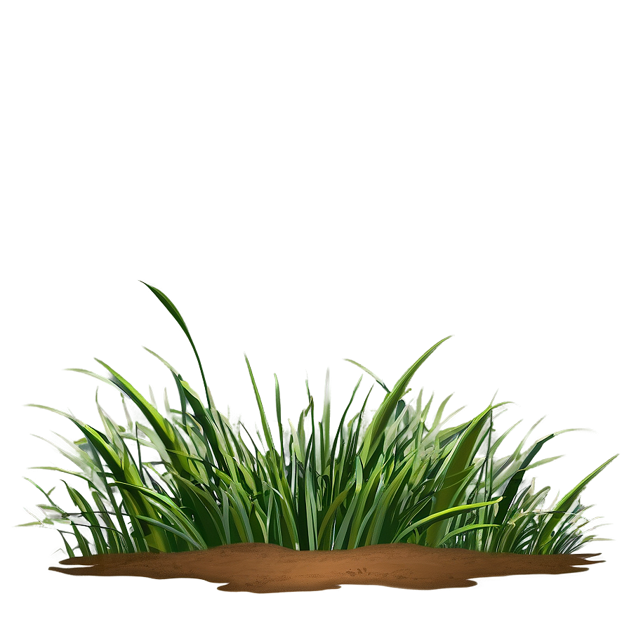 Grass Clipart Compilation Png 06272024 PNG Image