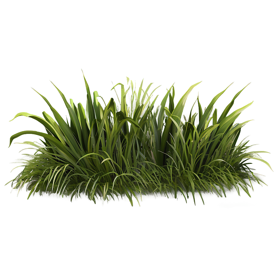 Grass Field Clipart Png 06272024 PNG Image