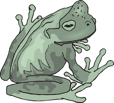 Gray Camouflaged Frog Illustration PNG Image