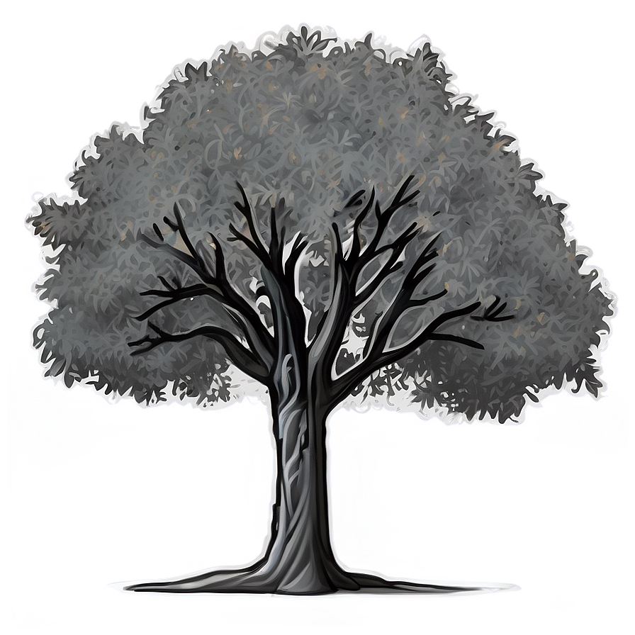 Grayscale Tree Outline Png 06252024 PNG Image