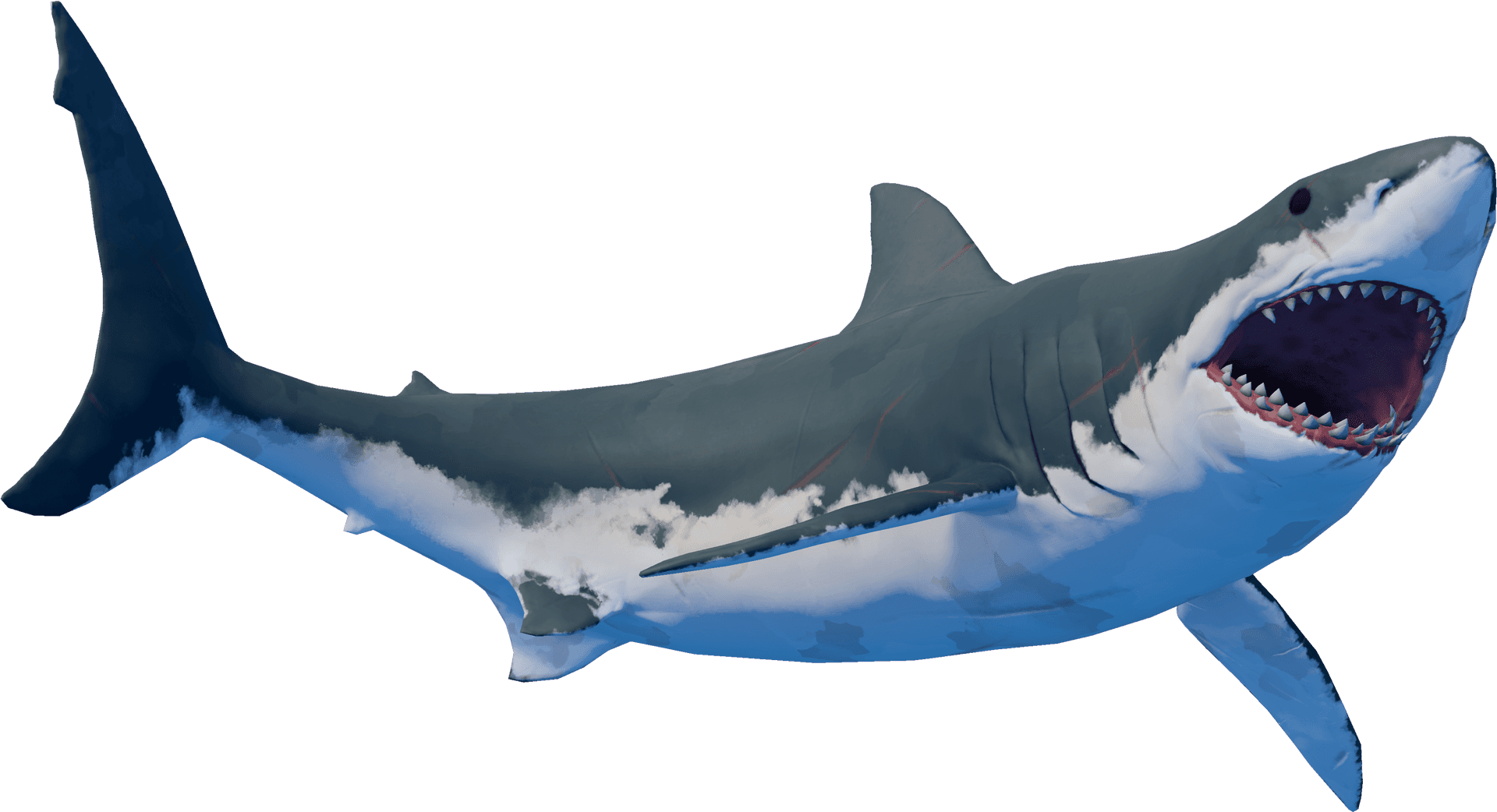 Great_ White_ Shark_ Illustration PNG Image