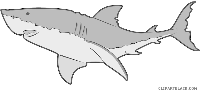 Great White Shark Illustration PNG Image