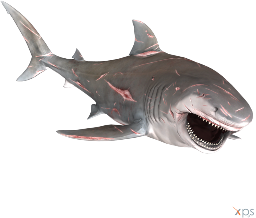 Great White Shark Open Mouth PNG Image