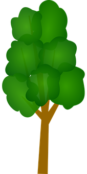 Green Abstract Tree Vector PNG Image