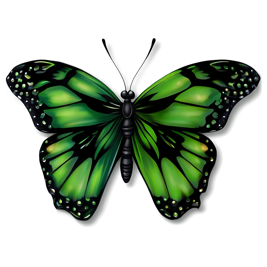 Green And Black Butterfly Design Png Jpe PNG Image