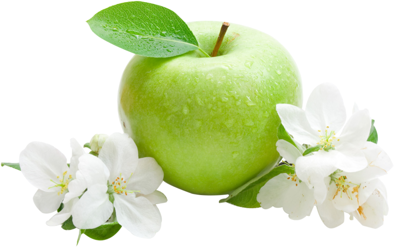 Green Apple With Blossoms PNG Image